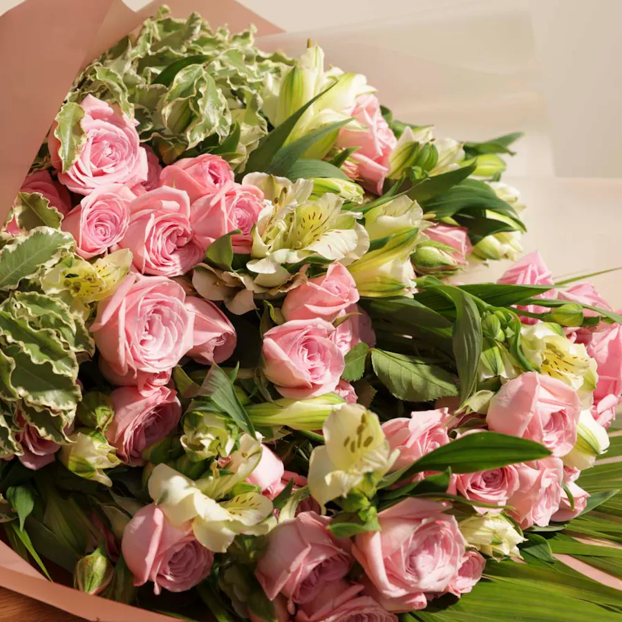 Blushing Beauty | Pink Wrap  4