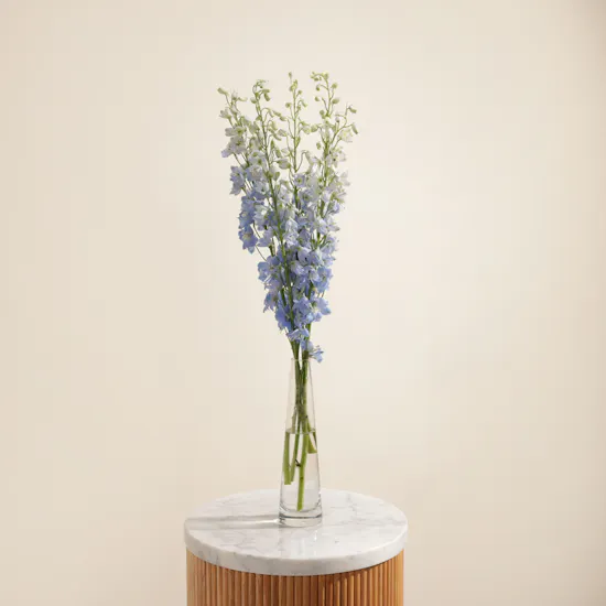 Light Blue Delphinium Vase