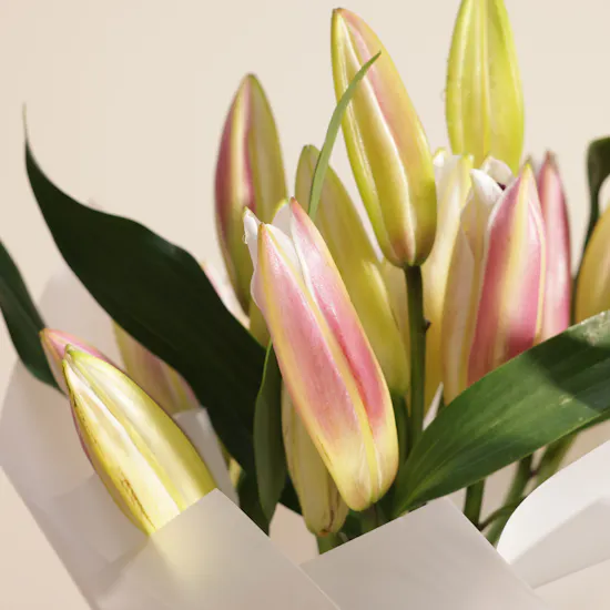 Floward Pink Lily Cake | Spark Flower Bouquet