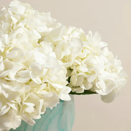 Coastal Serenity Hydrangea Vase