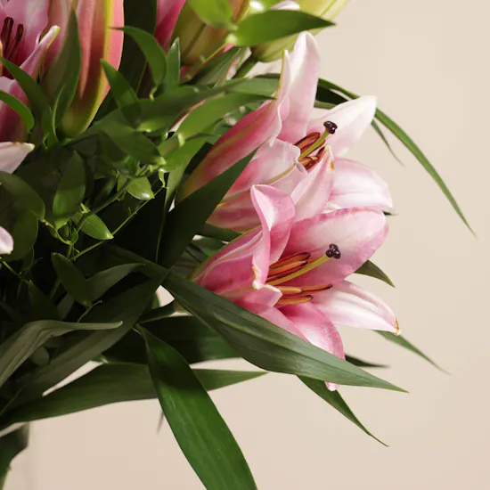 Pink Lily Vase