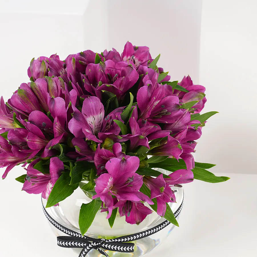Laviviane Tiramisu Bites | Alstroemeria Vase 2