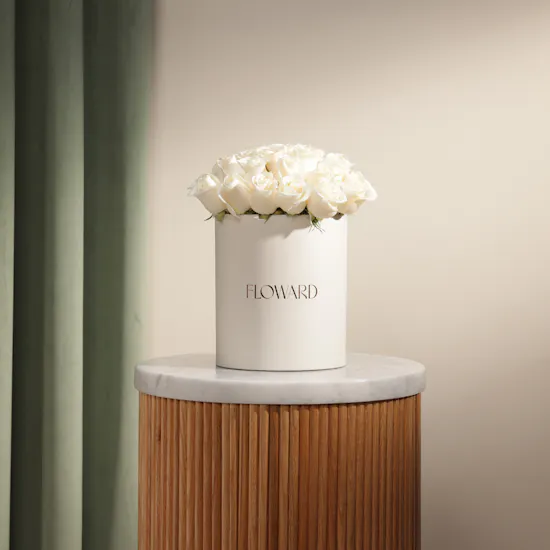 Whisper-Soft White Roses Box | 25 Roses
