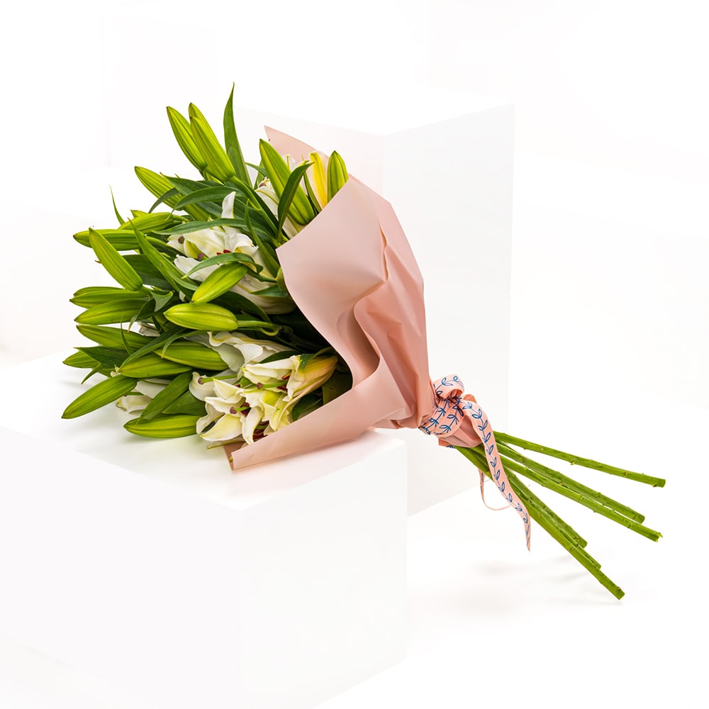 الليليوم الأبيض | بوكيه  