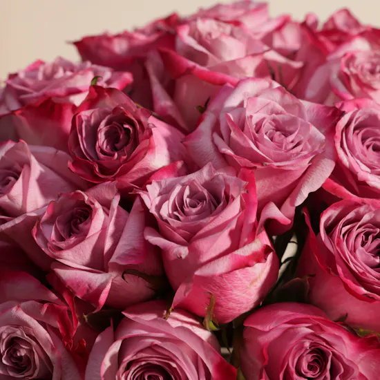 Purple Roses Vase | 35 Flowers