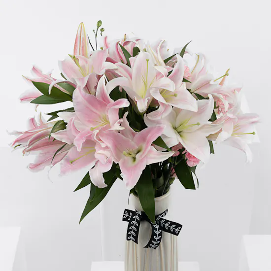 Surprise | Lily & Carnation