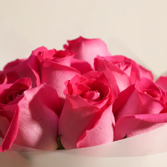 Alluring Roses Bouquet | 12 Flowers