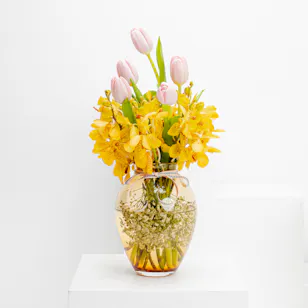 Pink Tulip & Yellow Orchid | Glass Vase Pink Tulip & Yellow Orchid | Glass Vase