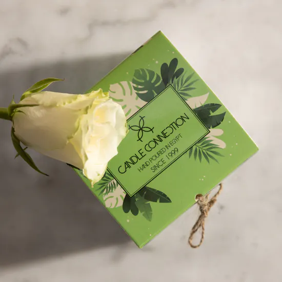Candle Connection Bundle