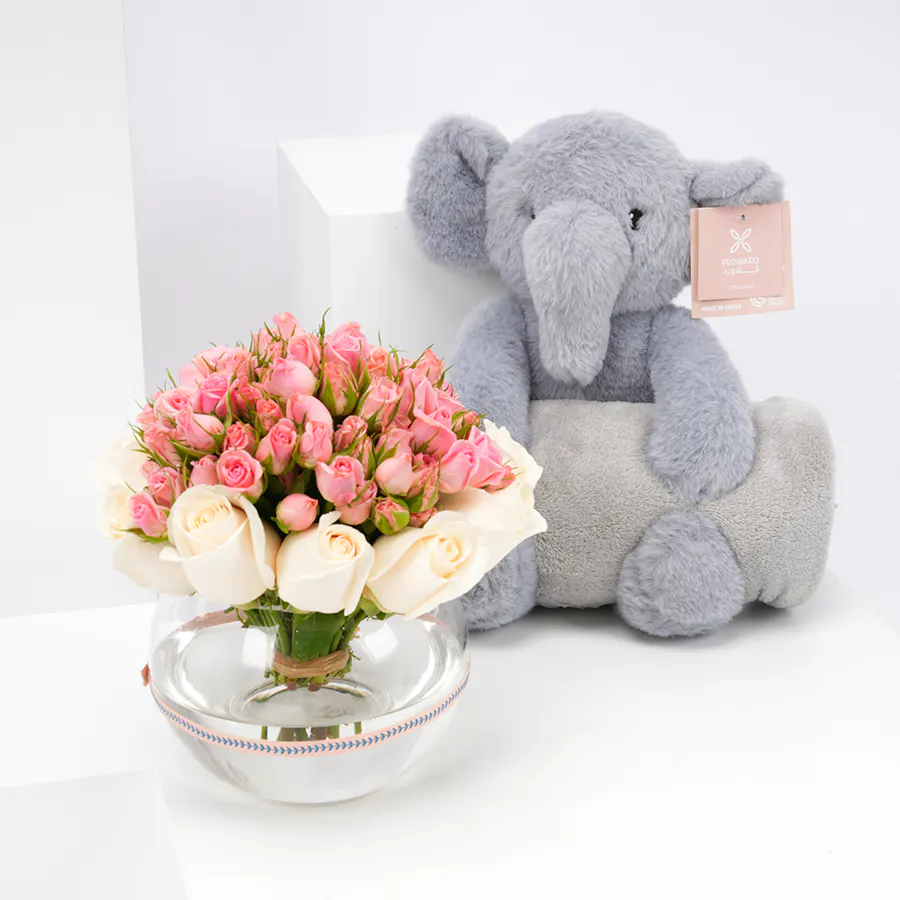 Rose | Elephant with Small Blanket 3
