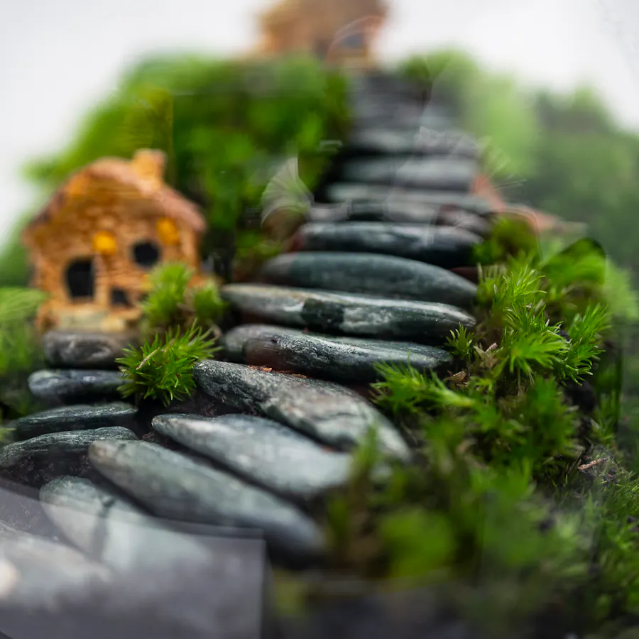 Little Forest Cottages | Closed Terrarium  4