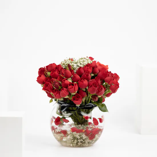 Adoration | 20 Baby Roses