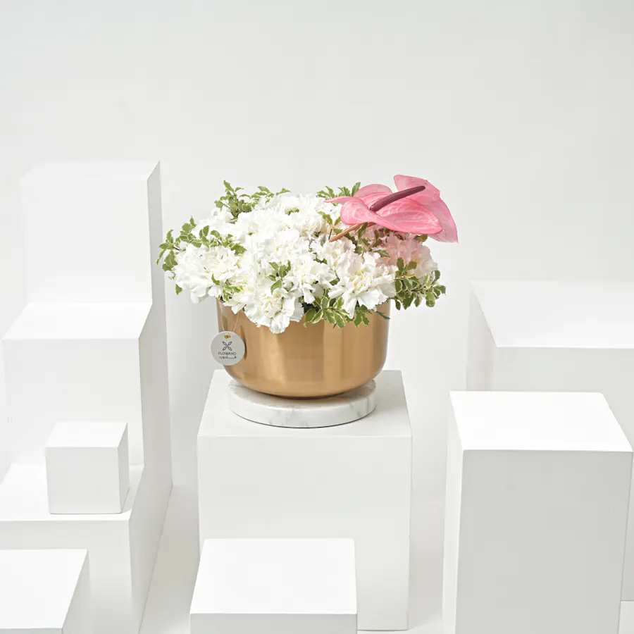 Carnation & Anthurium | Gold Vase 4