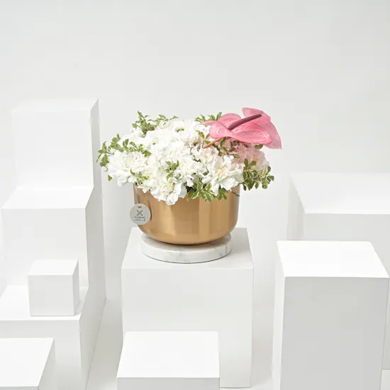 Carnation & Anthurium | Gold Vase