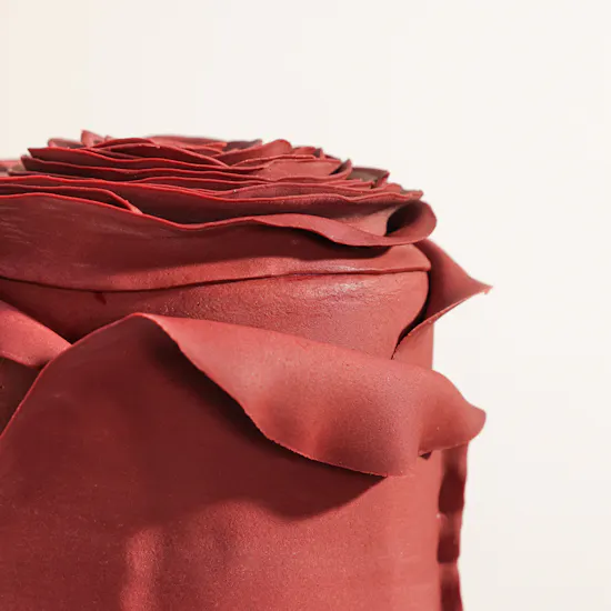 Floward Red Rose Premium Cake