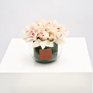 White Cymbidiums | Glass Vase White Cymbidiums | Glass Vase