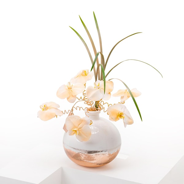 Elegant Peachy Orchid Vase Floward Abu Dhabi