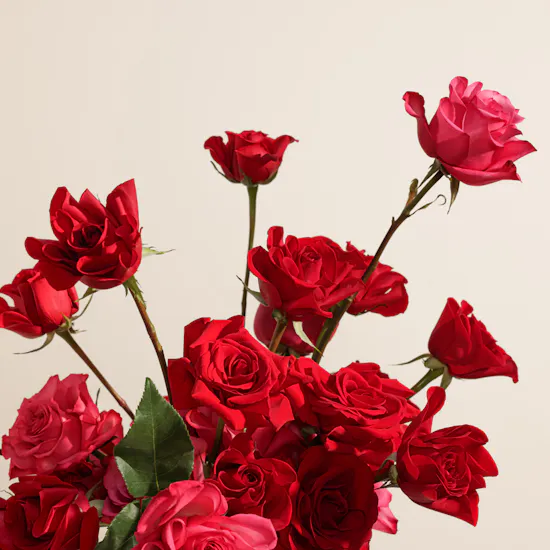 Red and Fuchsia Roses Box