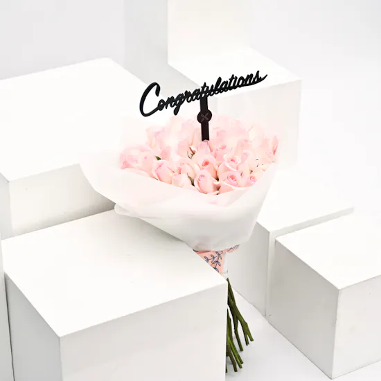 pink roses graduation collection