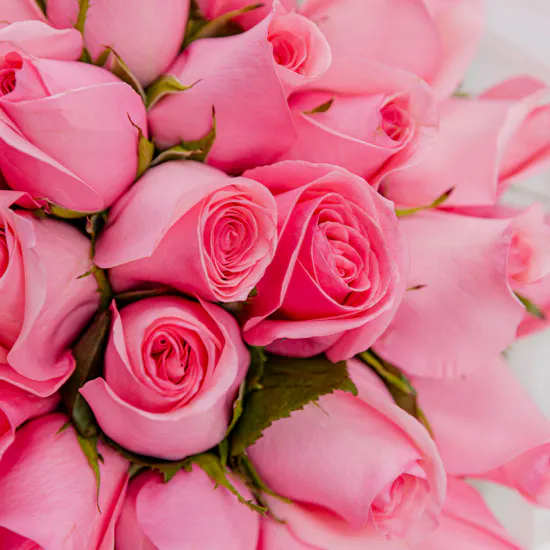 Enchanted Pink | Rose Bouquet