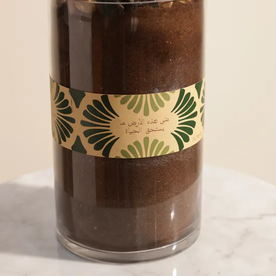 Kenyan Zamioculcas Earth Day Plant