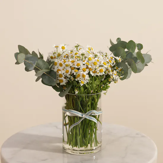 Hush Spa Classic Manicure and Pedicure Women's Gift Voucher | Serene Flower Vase