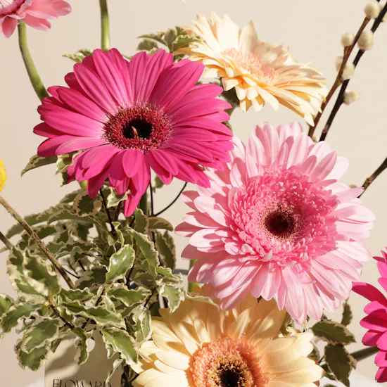 Charbonnel et Walker Dessert Truffle Selection Box | Soft Flower Vase