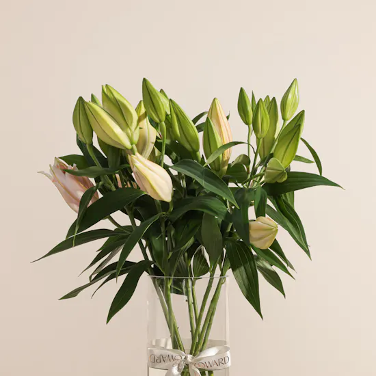 Dar Al Sabaek ¼ Gold Lera | Pink Grace Lily Vase