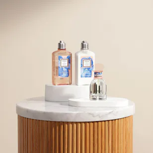 L'Occitane Herbae Iris Pallida for Women Collection Set L'Occitane Herbae Iris Pallida for Women Collection Set