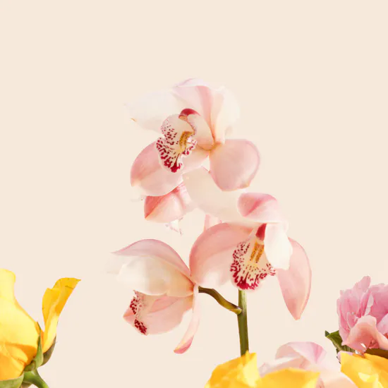 The Sweet Side of Sunshine Flower Vase