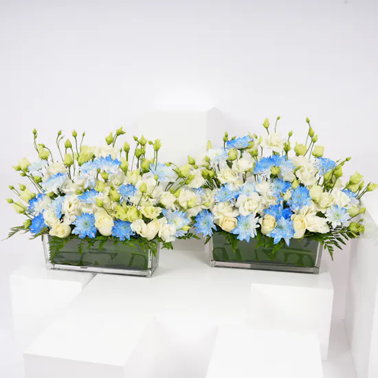 New Baby Reception Duo