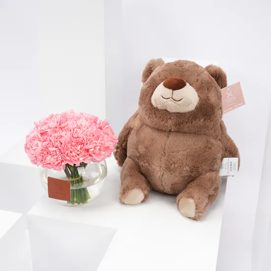 Plush Bear | Carnations Vase