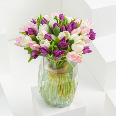 50 Tulips | Glass Vase