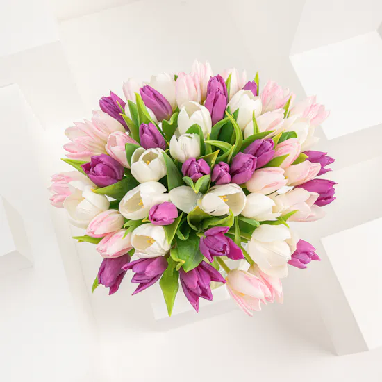50 Tulips | Glass Vase