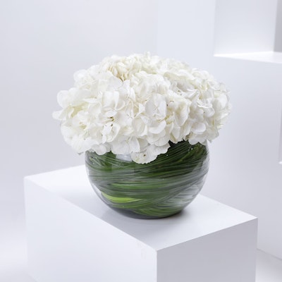 Raffaello