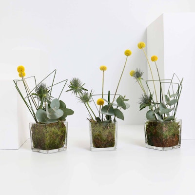 Amina Al Abbasi | 25 Flowers | Vase