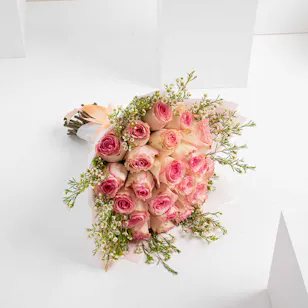 Delicate Roses