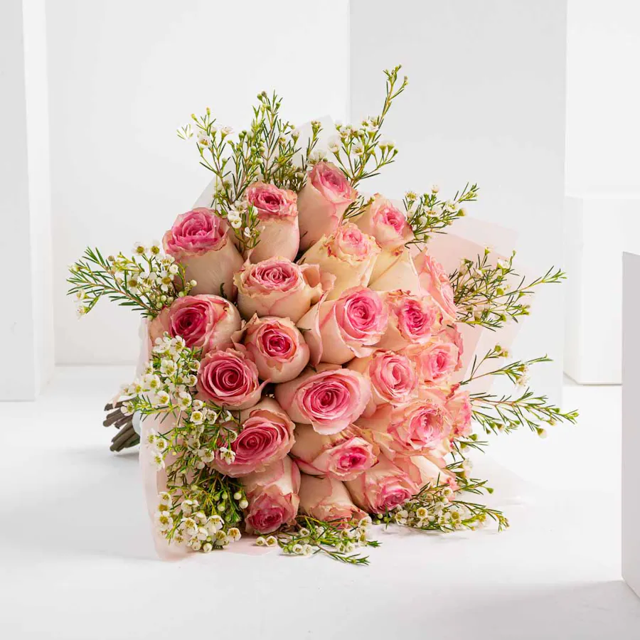 Delicate Roses 2