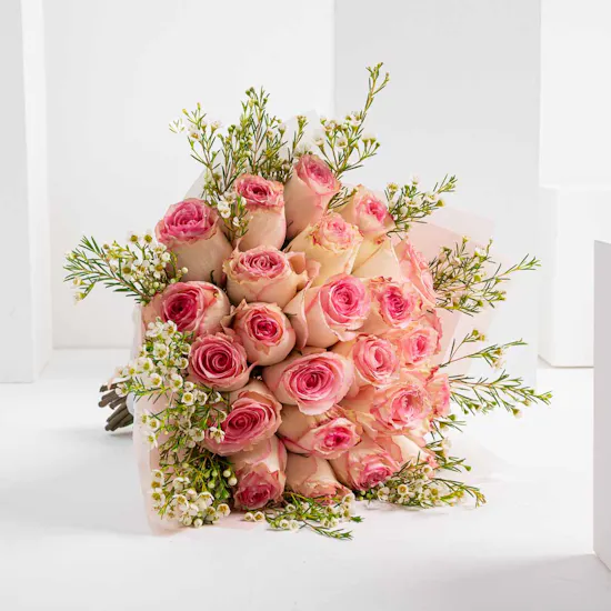Delicate Roses
