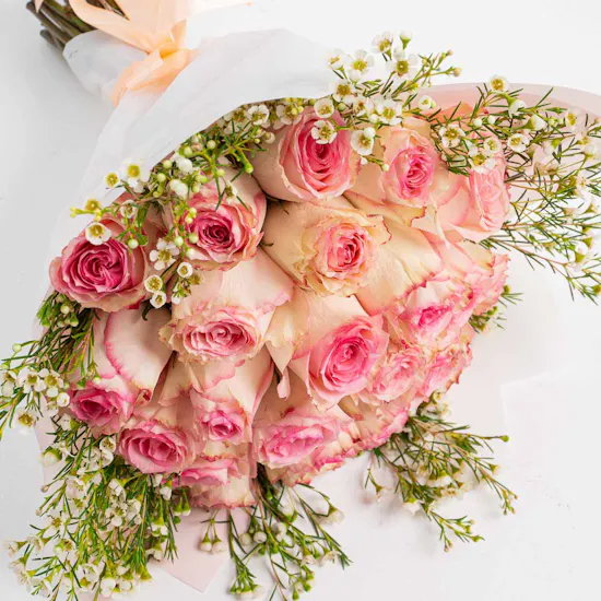 Delicate Roses