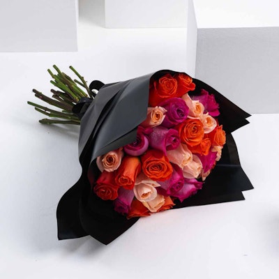 Colourful Roses