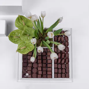 Abbuci Chocolate & Tulips Abbuci Chocolate & Tulips