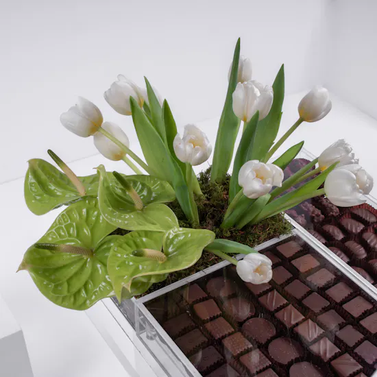 Abbuci Chocolate & Tulips
