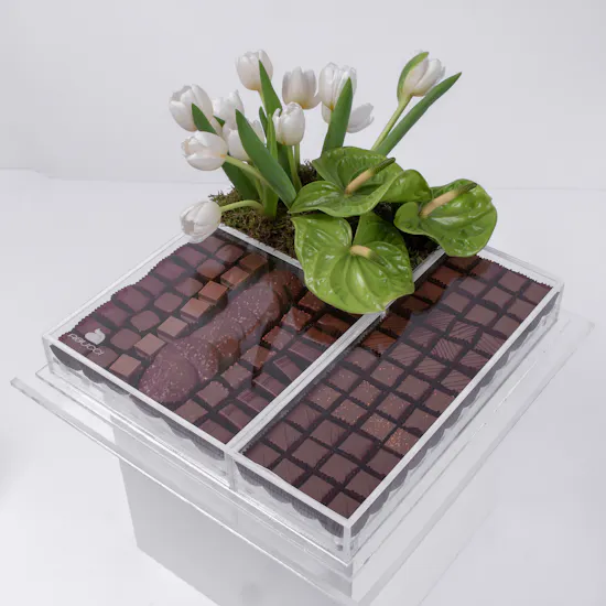 Abbuci Chocolate & Tulips