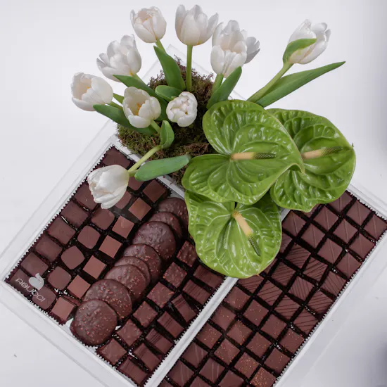 Abbuci Chocolate & Tulips
