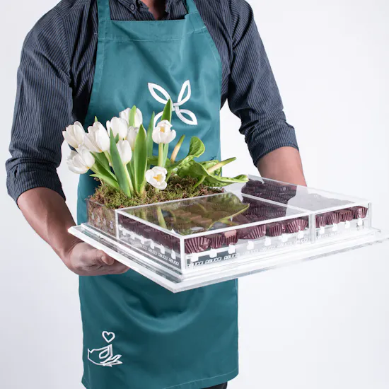 Abbuci Chocolate & Tulips