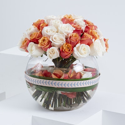 Fresh Start   | Roses Vase