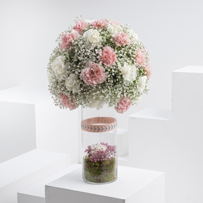 Dream | 58 Flower