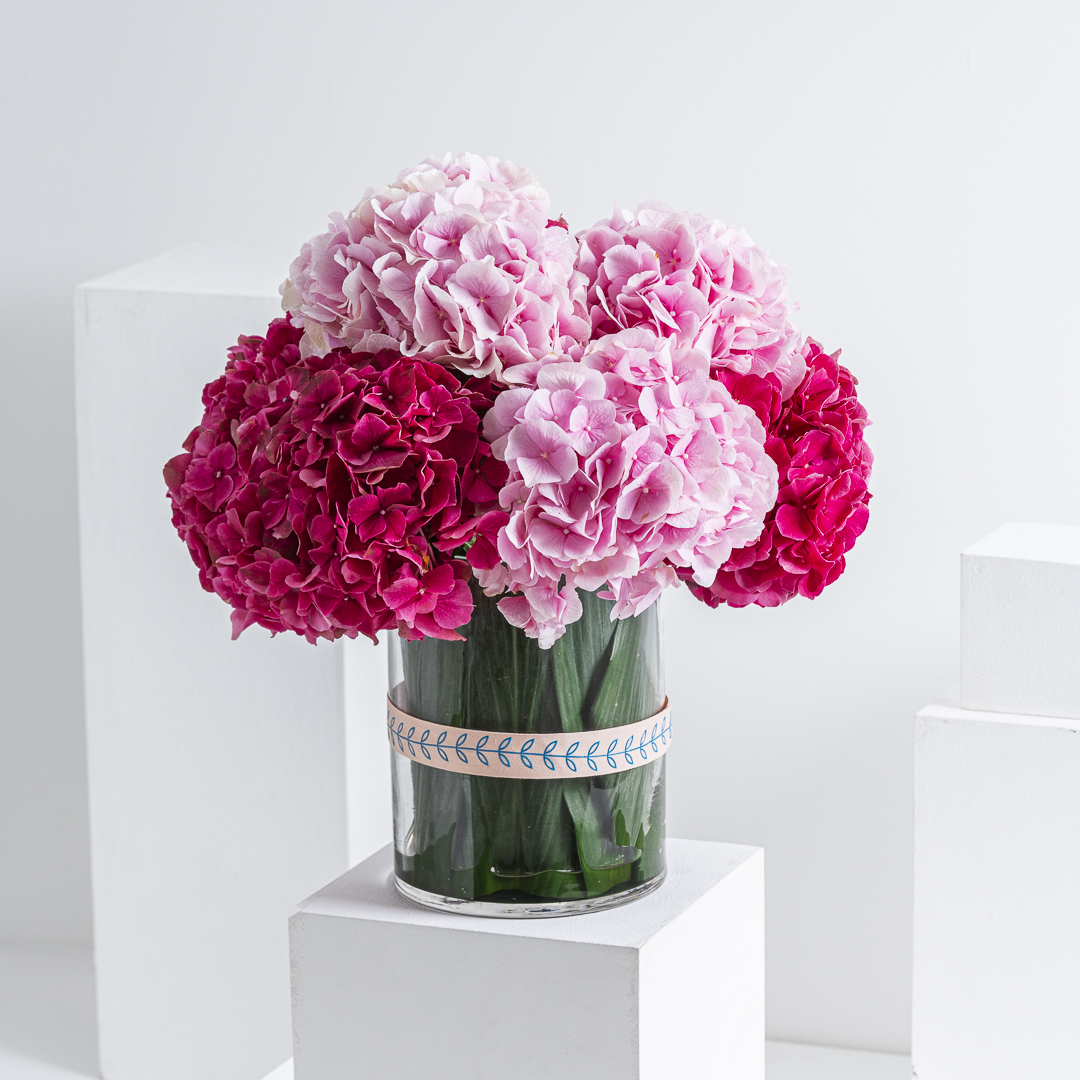 Image of Fuchsia hydrangea in vase