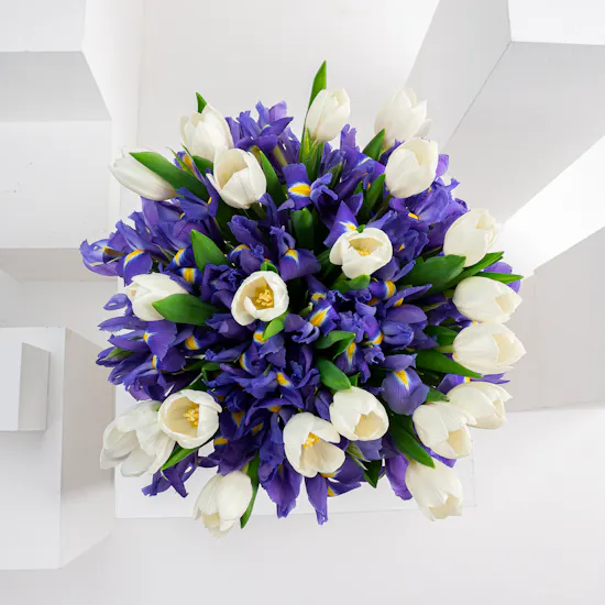 Blooming Blues | 60 Flowers